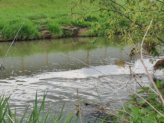 Pleiße (Markkleeberg)-4