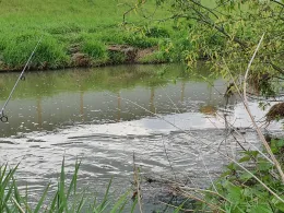 Pleiße (Markkleeberg)-4