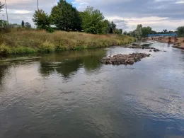 Nidda (Bad Vilbel)-2