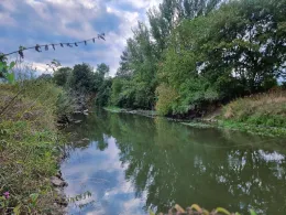 Nidda (Bad Vilbel)-4