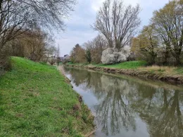 Nidda (Bad Vilbel)-2