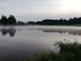 Gagrasweiher (Steingaden)-4