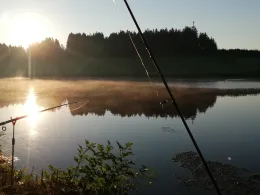 Gagrasweiher (Steingaden)-1