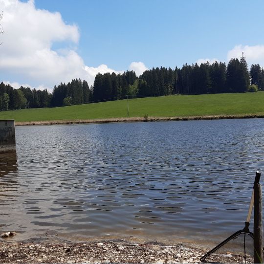 Gagrasweiher (Steingaden)-3