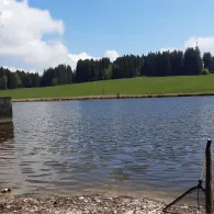 Gagrasweiher (Steingaden)-3