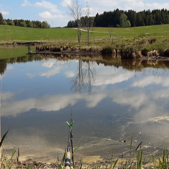 Gagrasweiher (Steingaden)-2