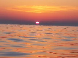 Flensburger Förde (Dollerupholz)