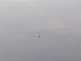 Baggersee Dörfleins-1