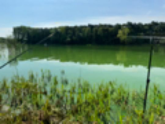 Łowisko Turawa-3