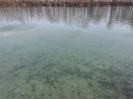 Niederneuching Alt-4