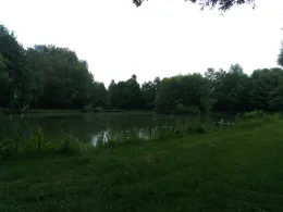 Mühlwiesenteich (Philippsthal)