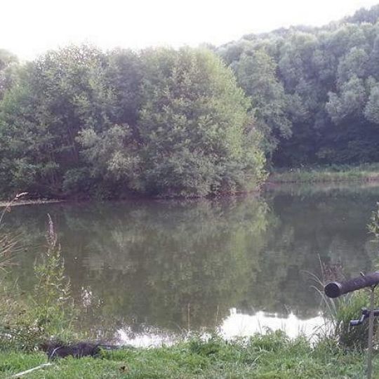Mühlwiesenteich (Philippsthal)-1