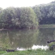 Mühlwiesenteich (Philippsthal)-1