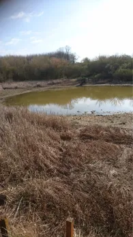 Minnabad (Volkstedt)-1