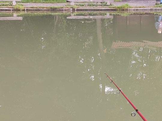 Forellenhof Kiefer-2