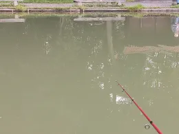 Forellenhof Kiefer-2