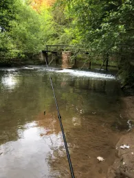 Schwabach (Erlangen)