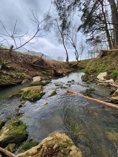 Schwabach (Erlangen)-2