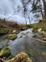 Schwabach (Erlangen)-2