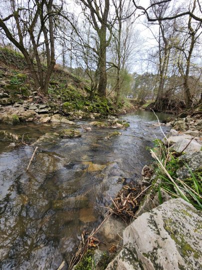 Schwabach (Erlangen)-1