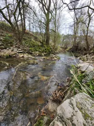 Schwabach (Erlangen)-1