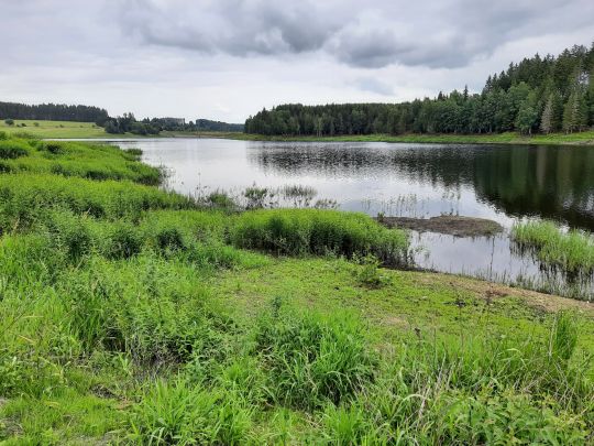 HWR Kalte Bode (Mandelholzsperre)-2