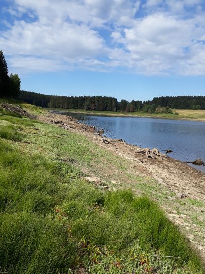 HWR Kalte Bode (Mandelholzsperre)-4