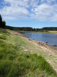 HWR Kalte Bode (Mandelholzsperre)-4