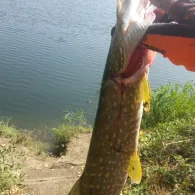 Müggelsee (Hildesheim)-2