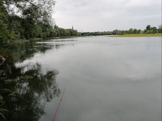 Donau (Straubing)-4