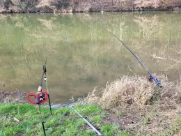 Main (Gemünden am Main)-3