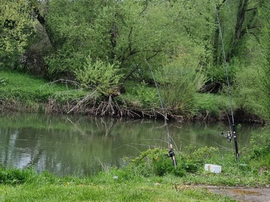 Main (Gemünden am Main)-1