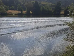 Main (Gemünden am Main)-4