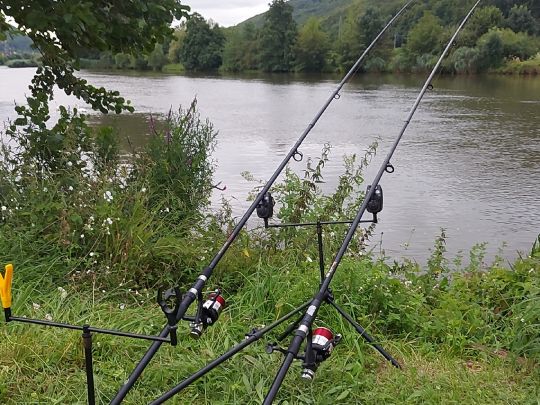 Main (Gemünden am Main)-2