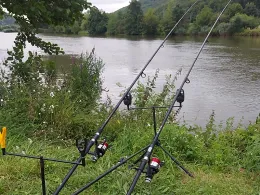 Main (Gemünden am Main)-2