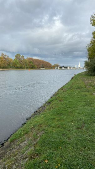 Neckar (Heilbronn)-3