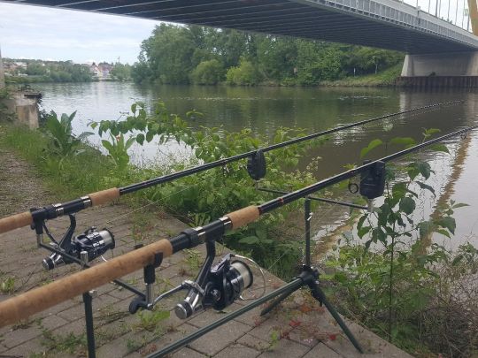 Neckar (Heilbronn)-2