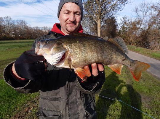 Neckar (Heilbronn)-1