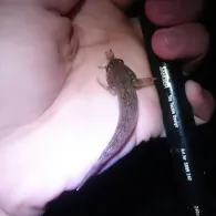 Neckar (Heilbronn)-4