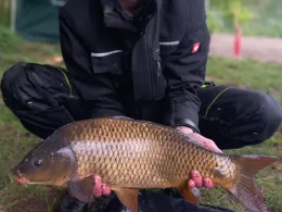 Rückhaltebecken Karlsdorf-4