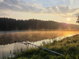 Dummetsweiher (Aisch)-1