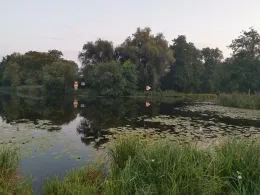 Oranienburger Kanal-2