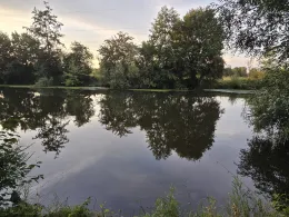 Weiße Elster (Bornitz-Göbitz)-4