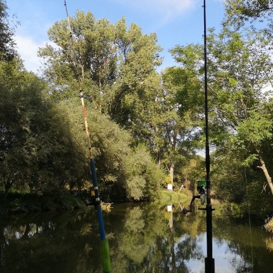 Weiße Elster (Bornitz-Göbitz)-1