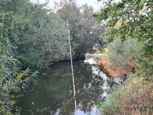 Weiße Elster (Bornitz-Göbitz)-2