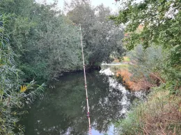 Weiße Elster (Bornitz-Göbitz)-2