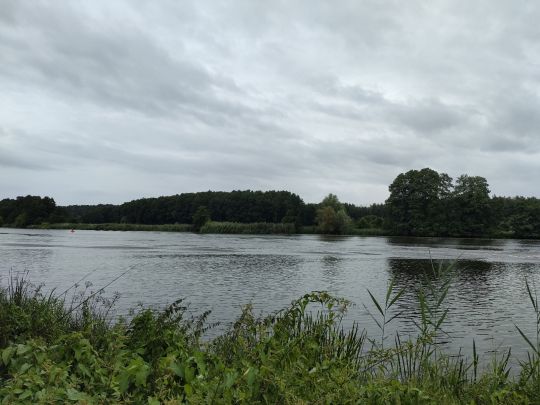 Wriezener Alte Oder (Hohensaaten)-4