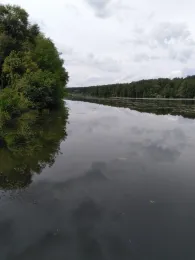 Wriezener Alte Oder (Hohensaaten)