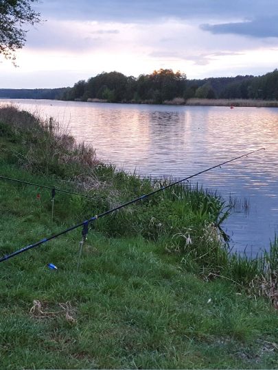 Wriezener Alte Oder (Hohensaaten)-1