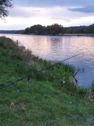 Wriezener Alte Oder (Hohensaaten)-1